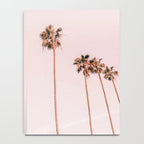 Summer Palms Notebook Gallery Image 4