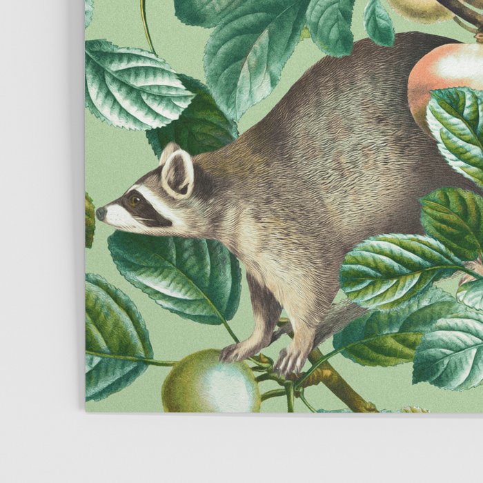 RACCOON AND FRUITS Poster Gallery Image 3