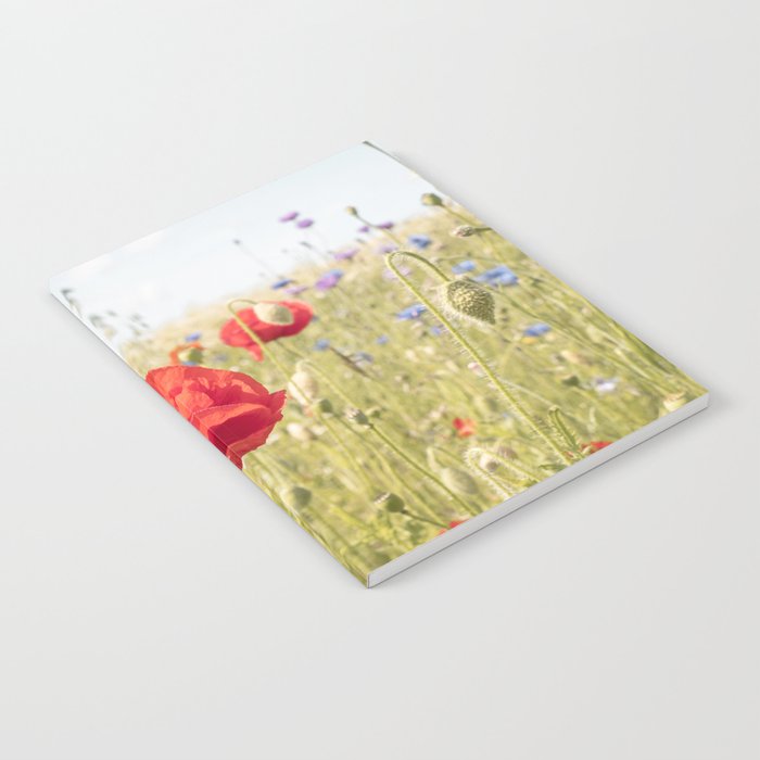 Wildflower Field | Poppy Flower in a Garden in Holland Art Print | Floral Summer Photography Notebook Gallery Image 1