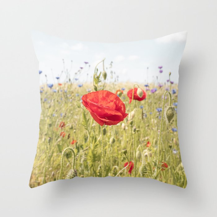 Wildflower Field | Poppy Flower in a Garden in Holland Art Print | Floral Summer Photography Throw Pillow Gallery Image 6
