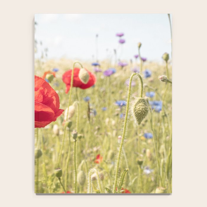 Wildflower Field | Poppy Flower in a Garden in Holland Art Print | Floral Summer Photography Notebook Gallery Image 4