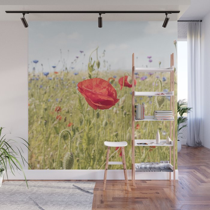 Wildflower Field | Poppy Flower in a Garden in Holland Art Print | Floral Summer Photography Wall Mural Gallery Image 1