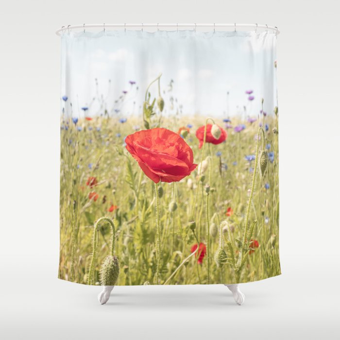 Wildflower Field | Poppy Flower in a Garden in Holland Art Print | Floral Summer Photography Shower Curtain Gallery Image 1