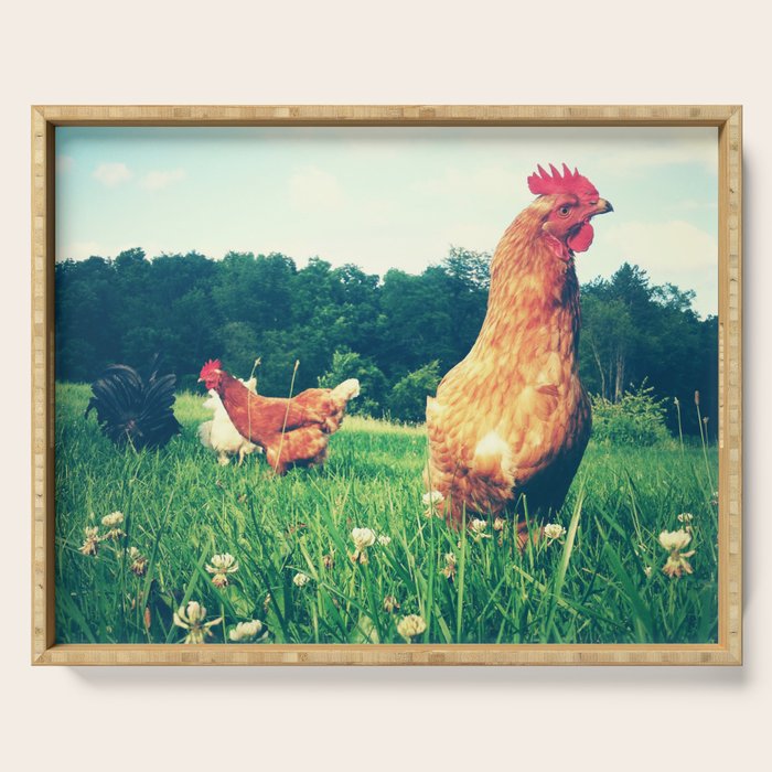 The Life of a Chicken Serving Tray Gallery Image 1