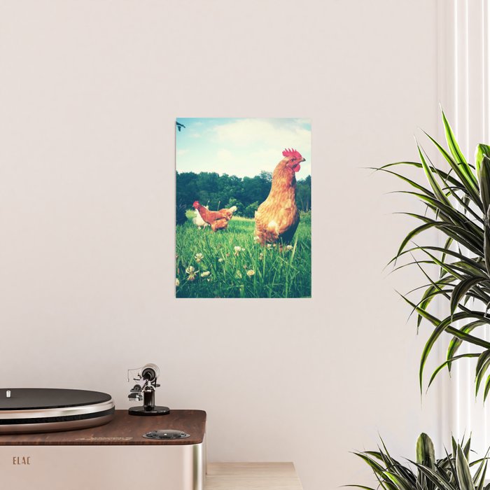 The Life of a Chicken Poster Gallery Image 2