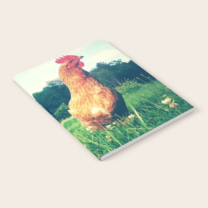 The Life of a Chicken Notebook Gallery Image 2
