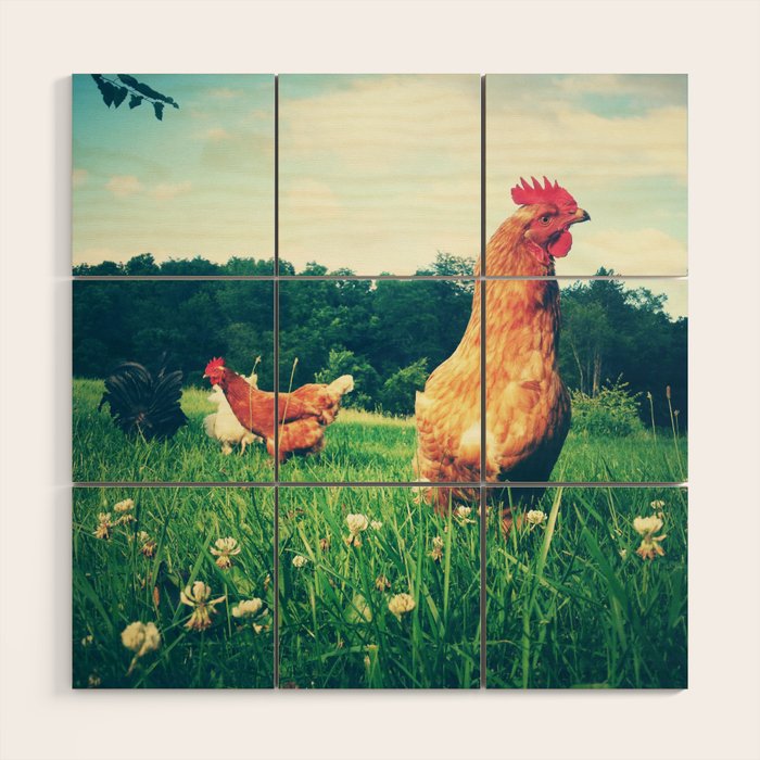 The Life of a Chicken Wood Wall Art Gallery Image 1