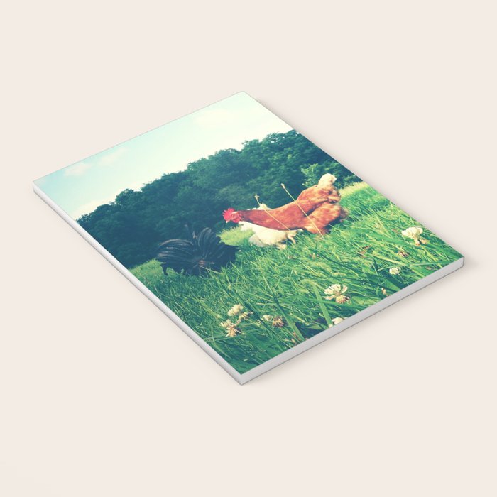 The Life of a Chicken Notebook Gallery Image 3