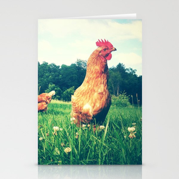 The Life of a Chicken Stationery Card Gallery Image 2