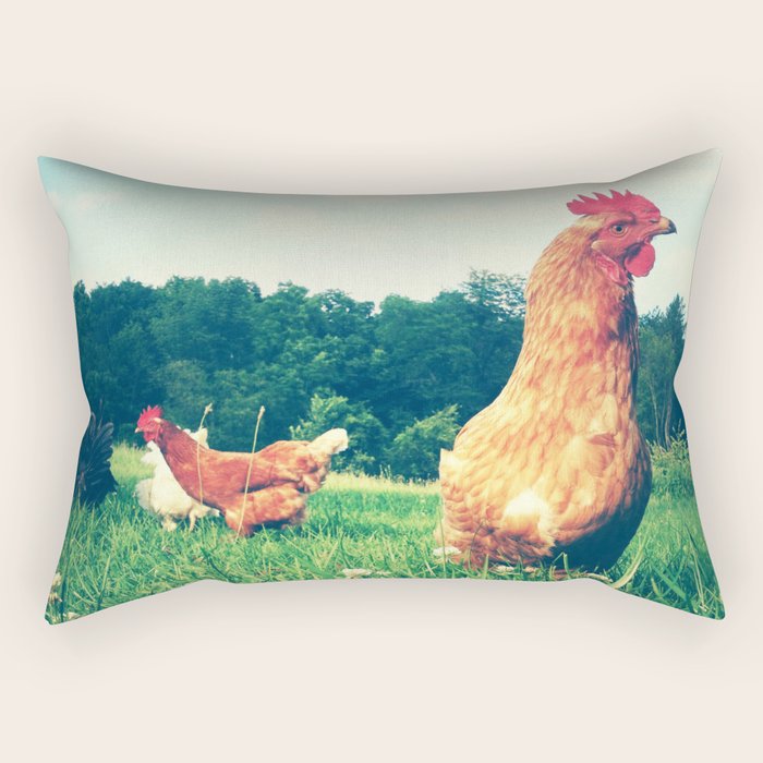 The Life of a Chicken Rectangular Pillow Gallery Image 1