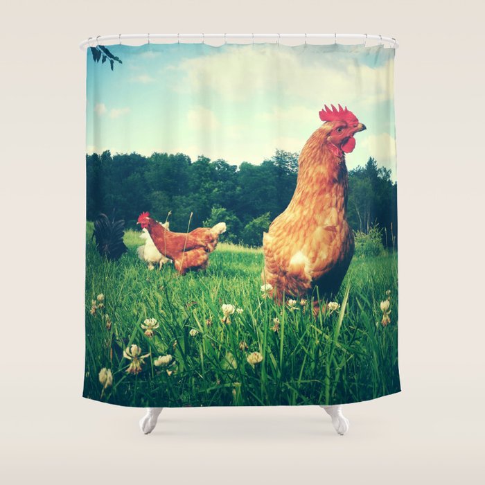 The Life of a Chicken Shower Curtain Gallery Image 1