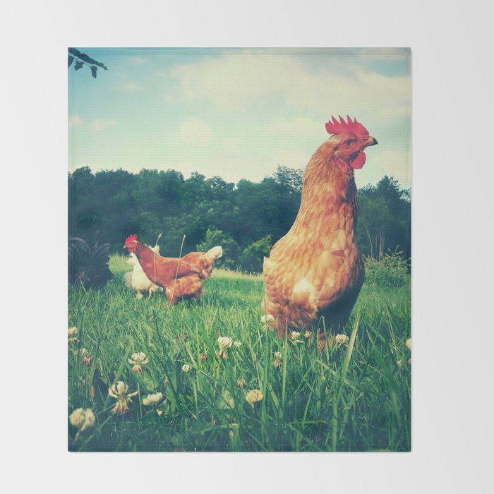 The Life of a Chicken Throw Blanket Gallery Image 2