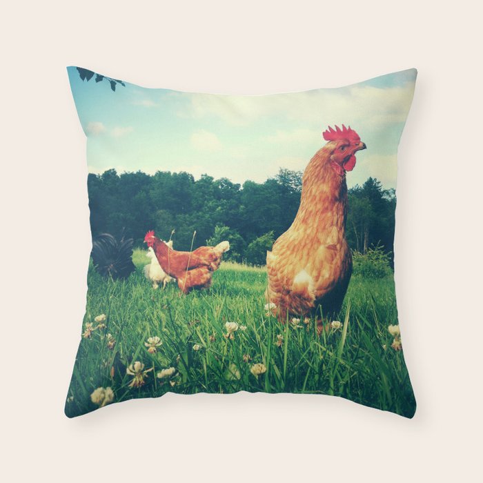 The Life of a Chicken Throw Pillow Gallery Image 1