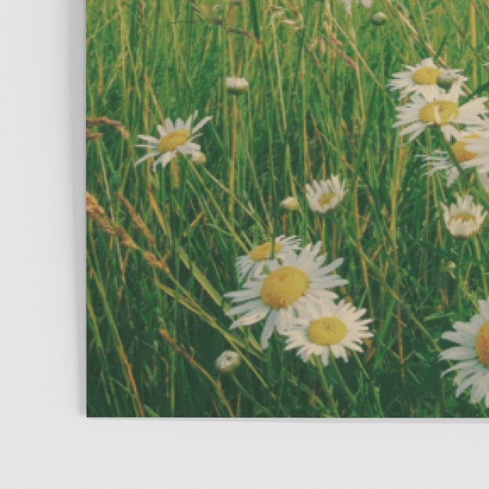 All Good Things Are Wild and Free Poster Gallery Image 3