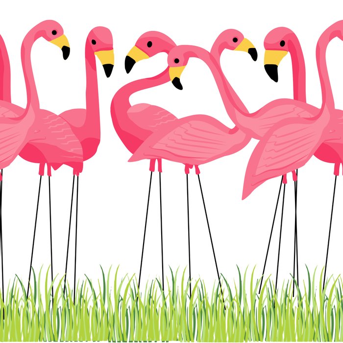 Cuban Pink Flamingos Coffee Mug Gallery Image 2