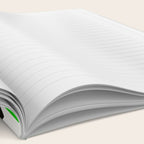 Still life - green stripe Notebook Gallery Image 2
