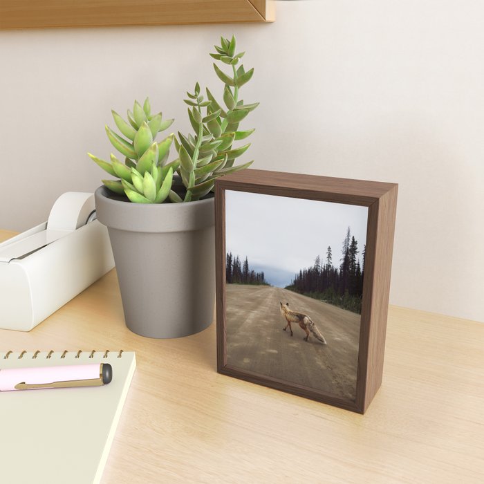 Road Fox Mini Art Print Gallery Image 2