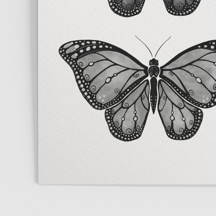 Monarch Butterfly - Black and White Poster Gallery Image 3