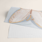 Two Butterflies on Blue Wrapping Paper Gallery Image 2