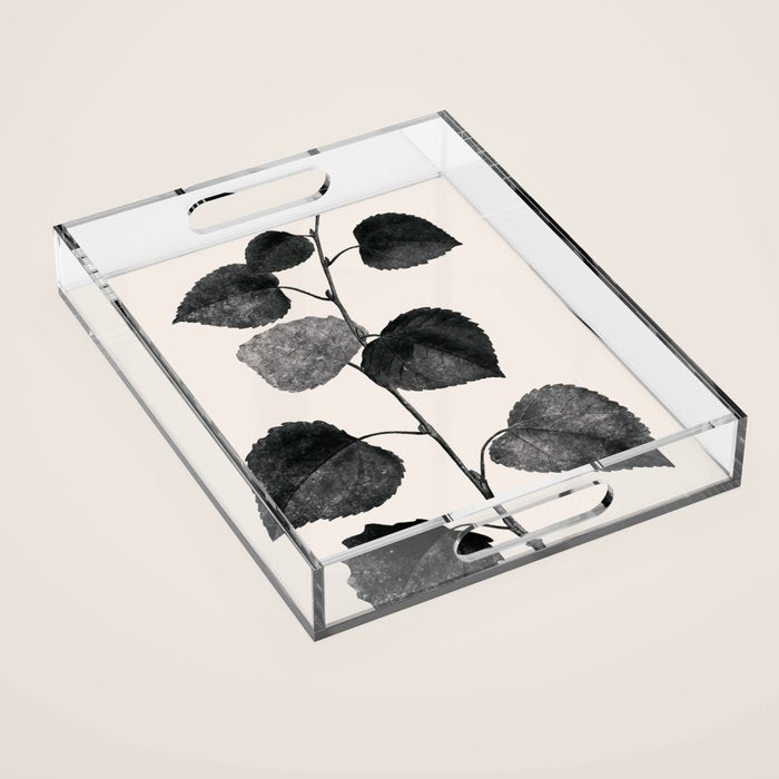 PLANT3a Acrylic Tray Gallery Image 1