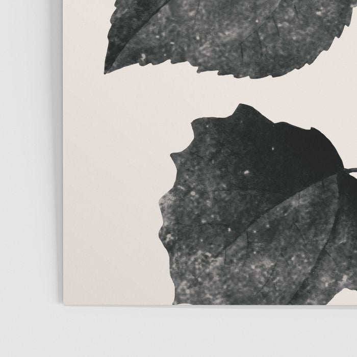 PLANT3a Poster Gallery Image 3