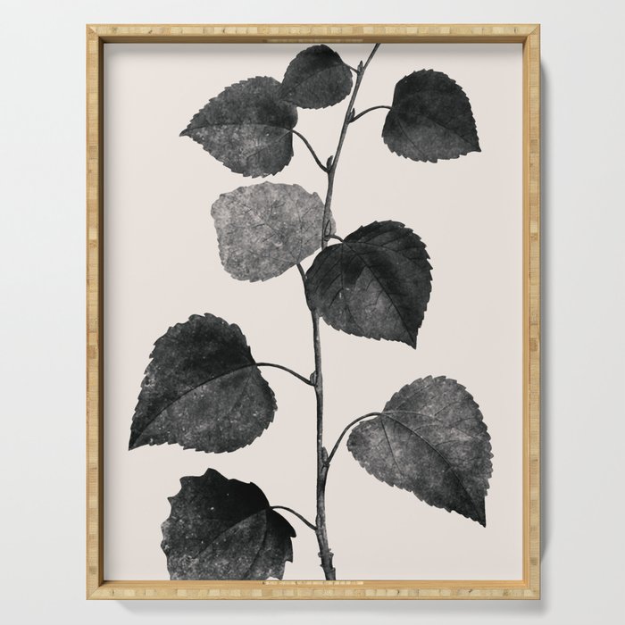 PLANT3a Serving Tray Gallery Image 1