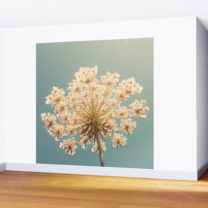 Queen Anne's Lace Wall Mural Gallery Image 2