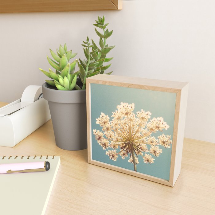 Queen Anne's Lace Mini Art Print Gallery Image 2