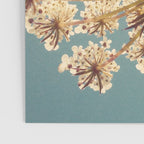 Queen Anne's Lace Poster Gallery Image 3