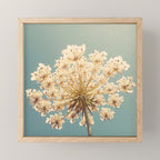 Queen Anne's Lace Mini Art Print Gallery Image 1