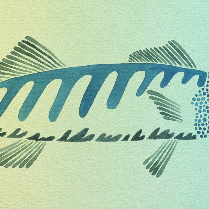 Fish Duo Coffee Mug Gallery Image 2