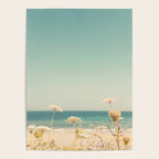 Water and Lace Poster Gallery Image 4