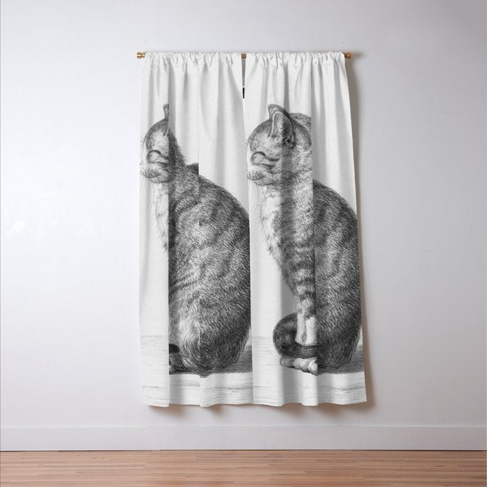 Tabby Cat, Vintage Black and White Cat Drawing Window Curtain Gallery Image 3