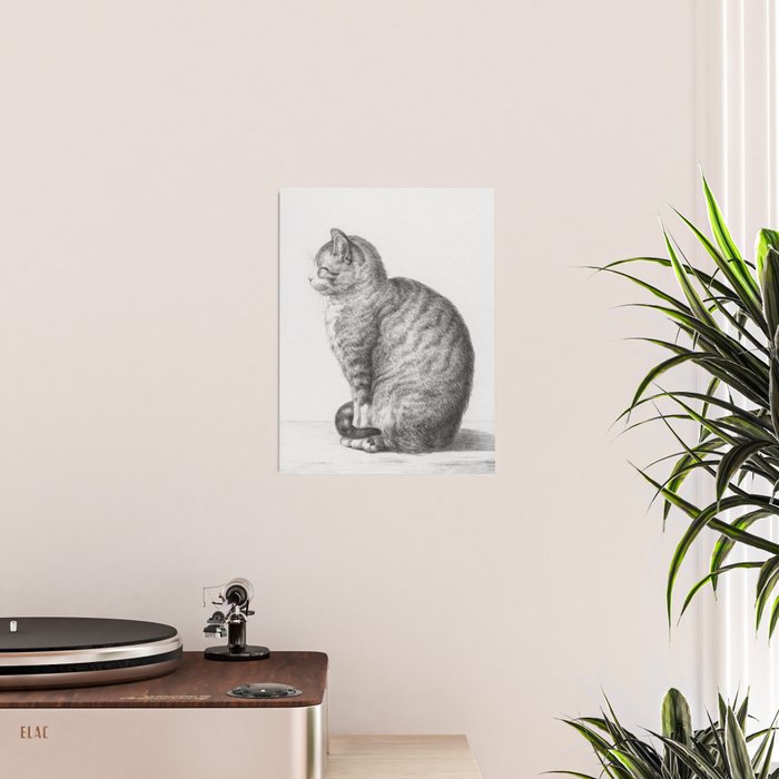 Tabby Cat, Vintage Black and White Cat Drawing Poster Gallery Image 2