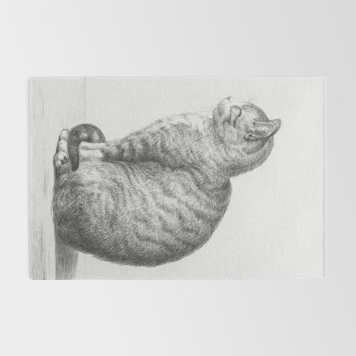 Tabby Cat, Vintage Black and White Cat Drawing Rug Gallery Image 2