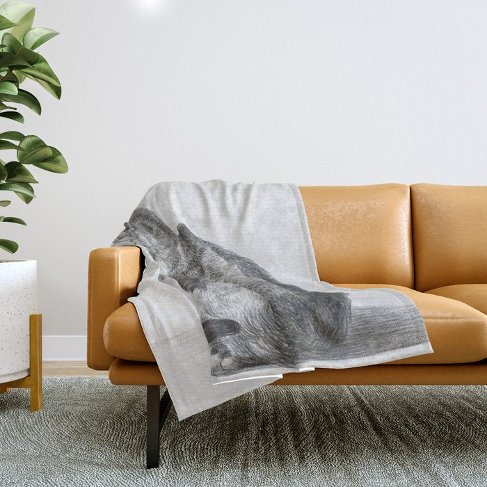 Tabby Cat, Vintage Black and White Cat Drawing Throw Blanket Gallery Image 1
