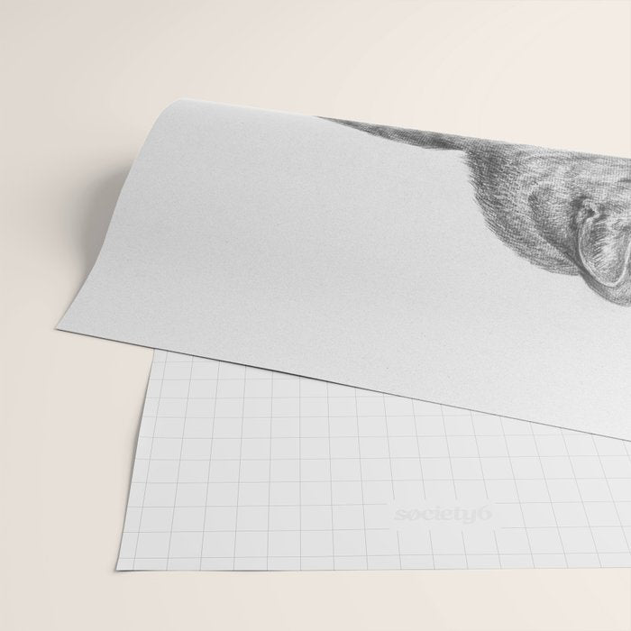 Tabby Cat, Vintage Black and White Cat Drawing Wrapping Paper Gallery Image 2