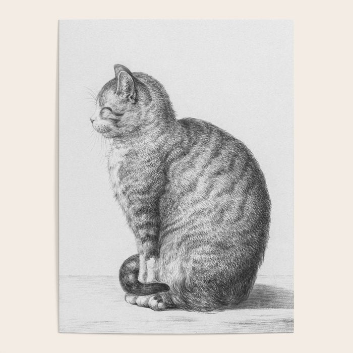 Tabby Cat, Vintage Black and White Cat Drawing Poster Gallery Image 4