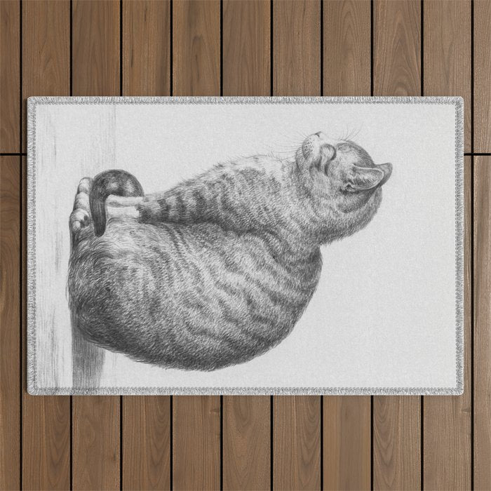 Tabby Cat, Vintage Black and White Cat Drawing Outdoor Rug Gallery Image 1