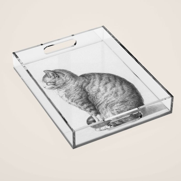 Tabby Cat, Vintage Black and White Cat Drawing Acrylic Tray Gallery Image 1