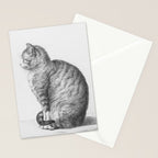 Tabby Cat, Vintage Black and White Cat Drawing Stationery Card Gallery Image 2