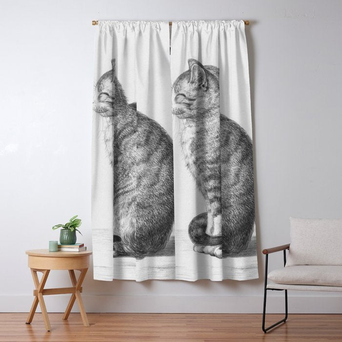 Tabby Cat, Vintage Black and White Cat Drawing Window Curtain Gallery Image 5