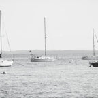 Coastal Maine Mornings Coffee Mug Gallery Image 2