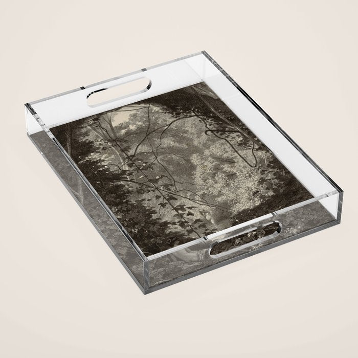 Forest Sirens Acrylic Tray Gallery Image 1