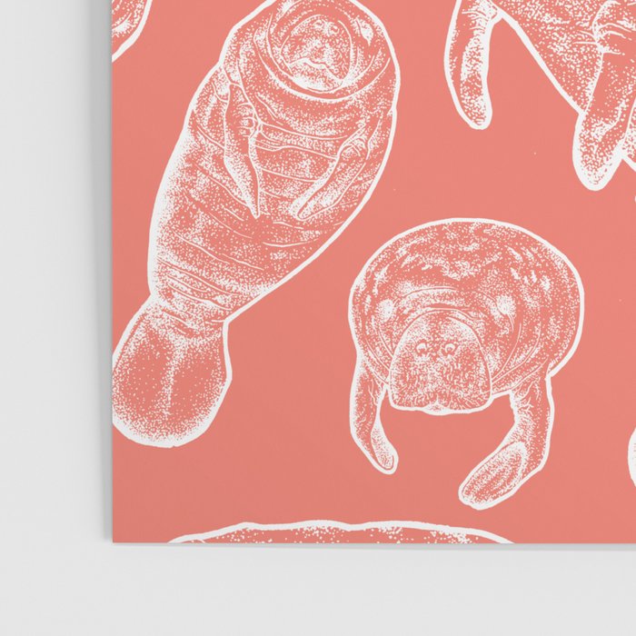 Manatee Print - Coral Poster Gallery Image 3
