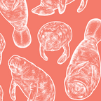 Manatee Print - Coral Coffee Mug Gallery Image 2