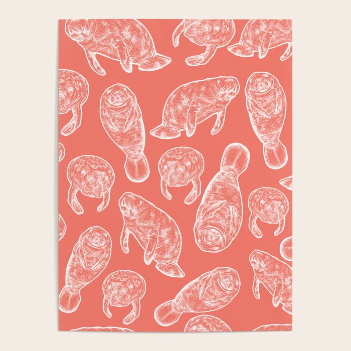 Manatee Print - Coral Poster Gallery Image 1