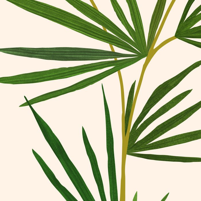 The Good Garden Desert Landscape Illustration Coffee Mug Gallery Image 2