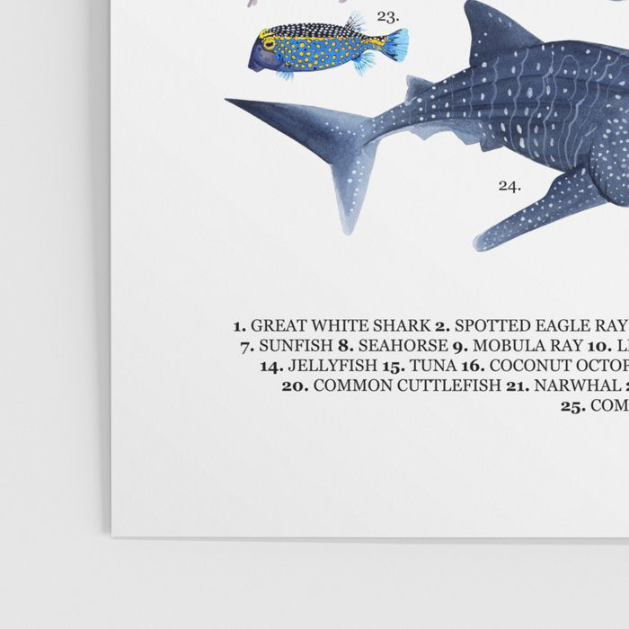SEA CREATURES poster with names Poster Gallery Image 3
