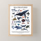 SEA CREATURES poster with names Mini Art Print Gallery Image 1